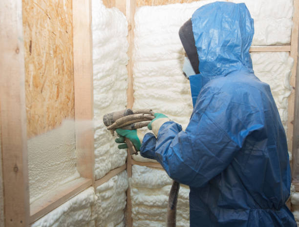 Best Thermal Imaging for Insulation Gaps  in Deerfield, WI